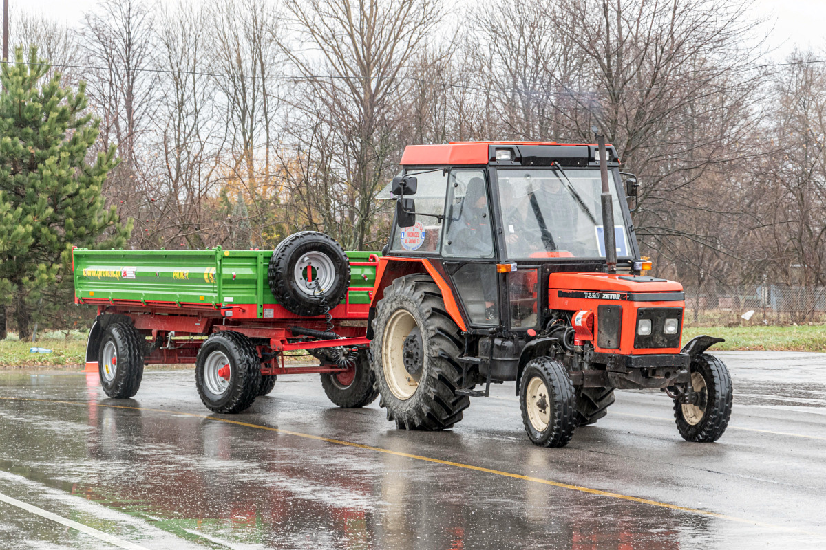 Zdjęcie z galerii